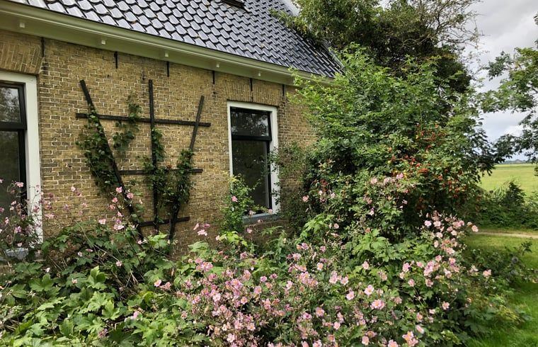 Guest house 2613003 - Holiday property Het Friese platteland - Huisje in Wijnaldum