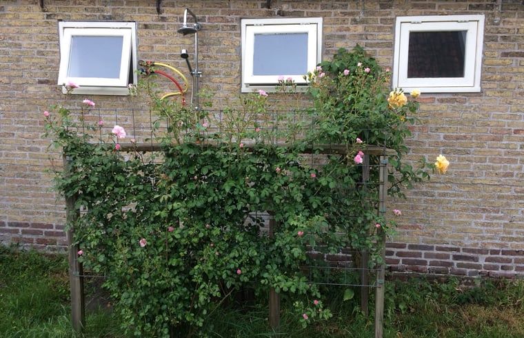 Guest house 2614002 - Holiday property Het Friese platteland - Huisje in Munnekeburen