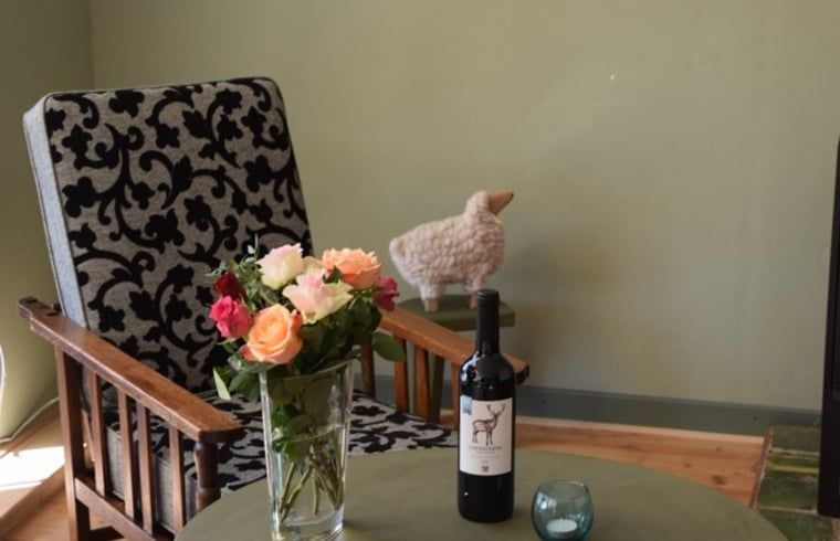 Stijlvolle zithoek in Vakantiehuisje in Munnekeburen, Friesland met bloemen en een fles wijn voor ontspanning.