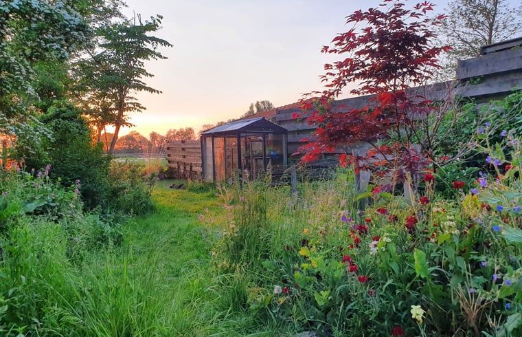 Rustige tuin bij Vakantiehuisje in Munnekeburen, Friesland met weelderige bloemen en een kas bij zonsondergang.