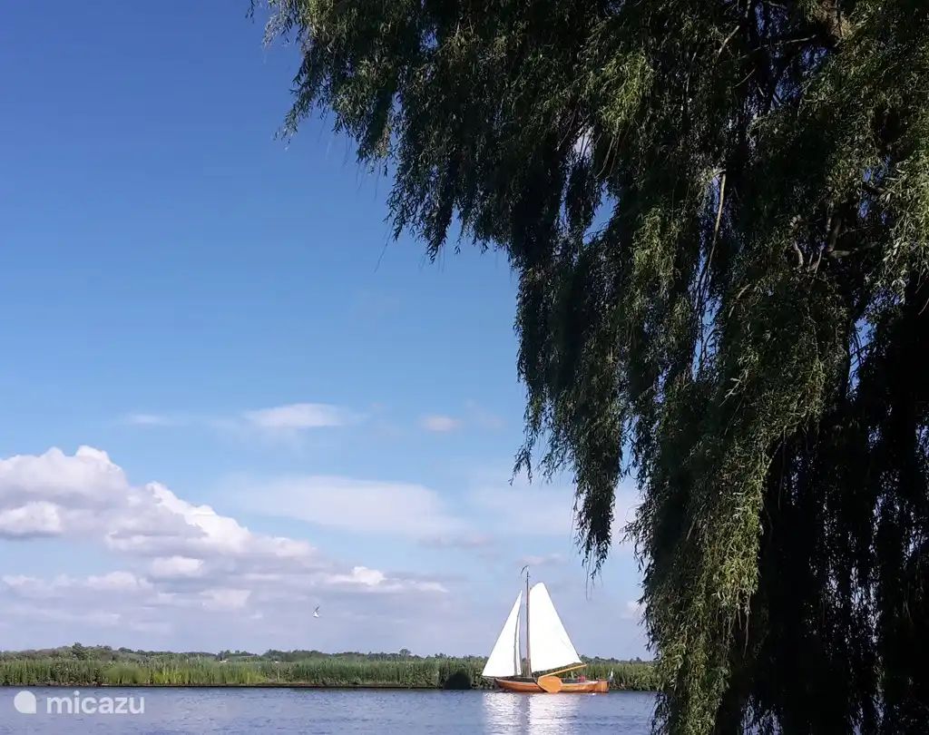 Guest house 2615304 - Holiday property Het Friese platteland - Vrijzicht