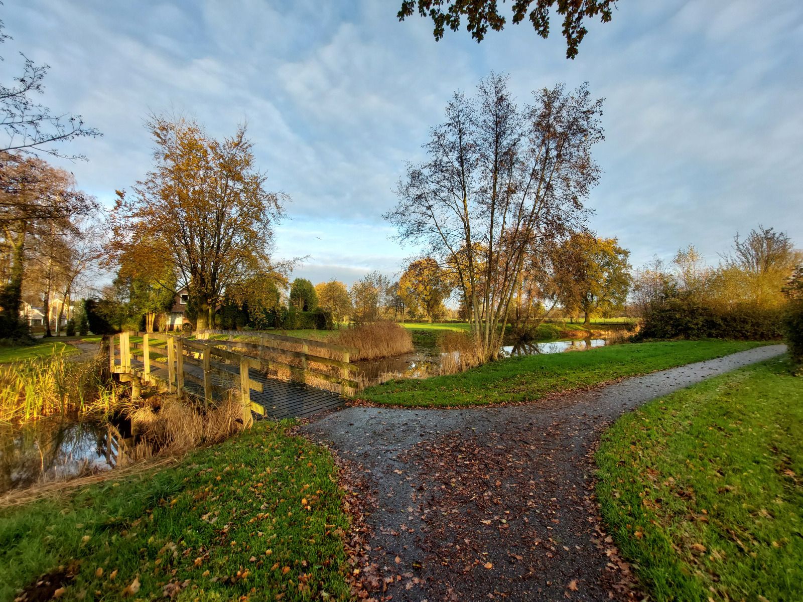 Guest house 2615703 - Holiday property Het Friese platteland - FR440