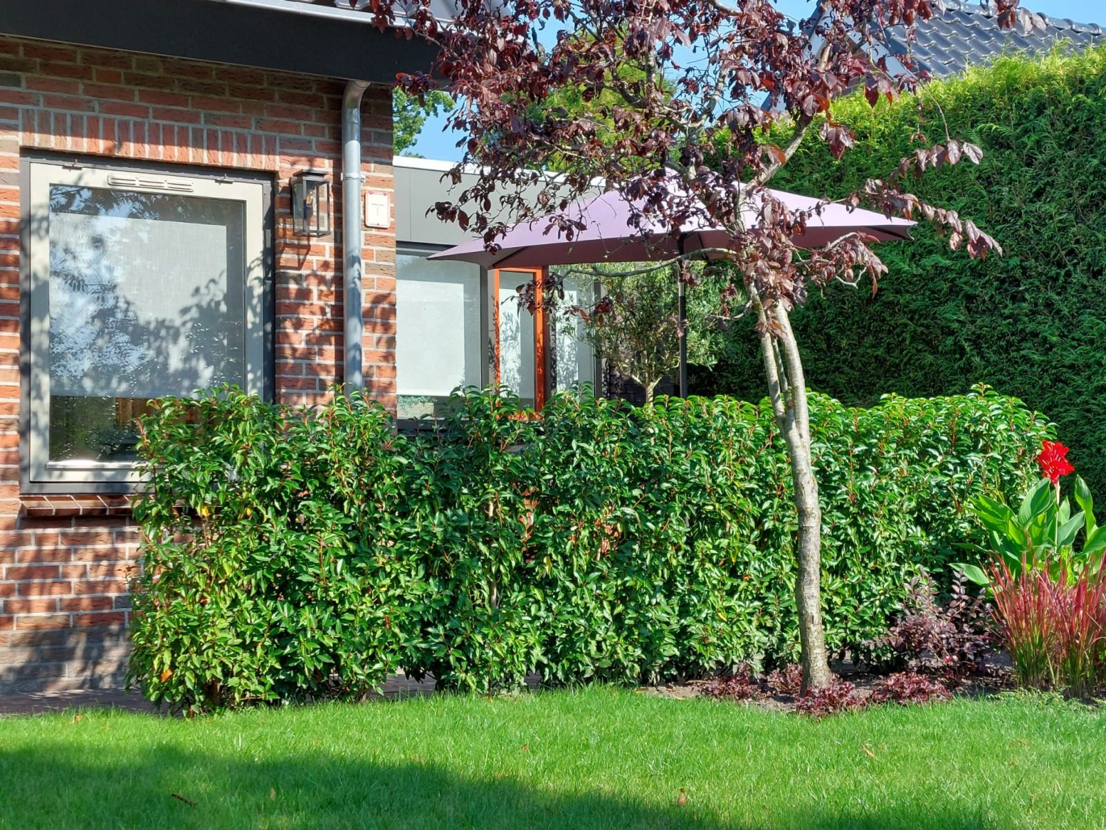 Guest house 2615703 - Holiday property Het Friese platteland - FR440