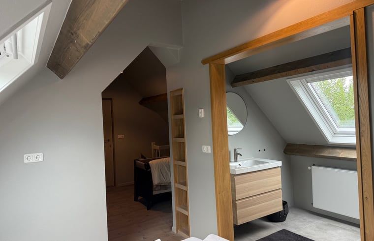 Badkamer met dakraam in Vakantiehuis in Surhuisterveen, licht en ruim, Friesland.