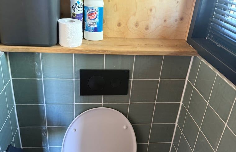 Nette toiletruimte in Huisje in Surhuisterveen op het Friese platteland, Friesland.