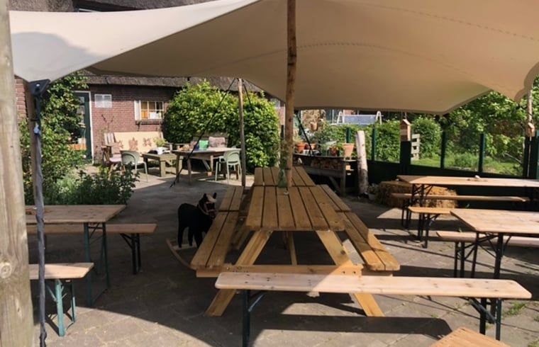 Guest house 2617012 - Holiday property Het Friese platteland - Vakantiehuis in veenwouden