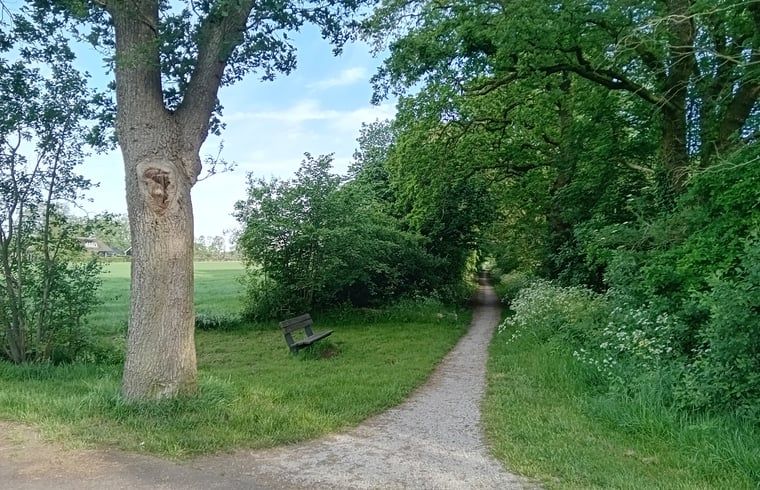 Bild 25