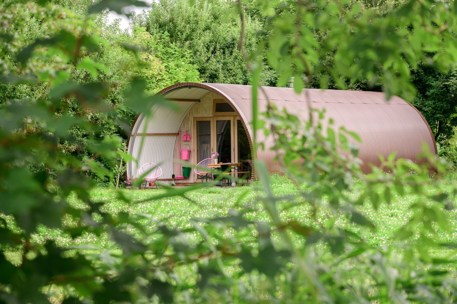 Guest house 261908 - Holiday property Het Friese platteland - FR492