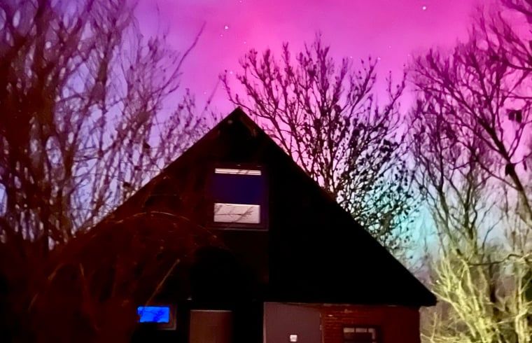 Unterkunft 2619501 - Ferienhaus Het Friese platteland - Huisje in Bornwird