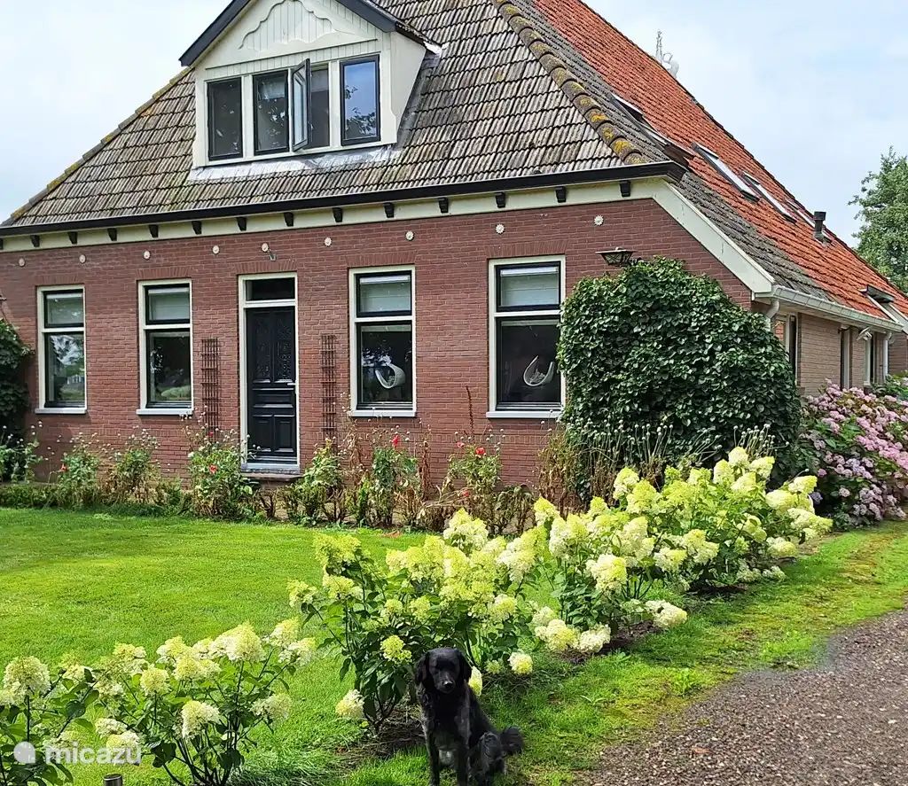 Verblijf 2619602 - Vakantiewoning Het Friese platteland - Boerengeluk