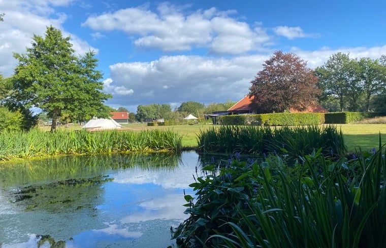 Natuurrijke omgeving van Vakantiehuis in De Hoeve, gelegen in Friesland met vijver.