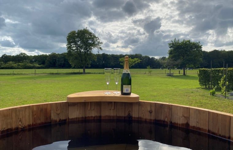 Uitzicht vanuit hot tub bij Vakantiehuis in De Hoeve over het Friese platteland.
