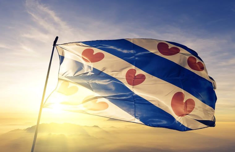 Friese vlag wapperend in de zon bij Vakantiehuis in De Hoeve, gelegen in Friesland.