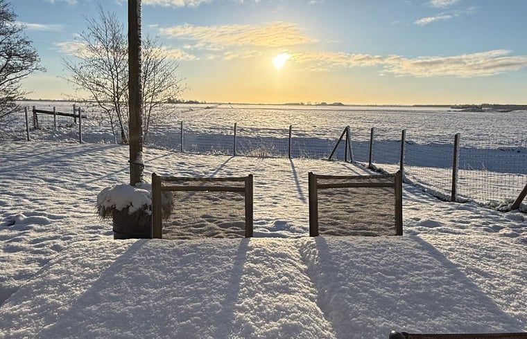 Unterkunft 2620103 - Ferienhaus Het Friese platteland - Vakantiehuisje in Tjerkgaast