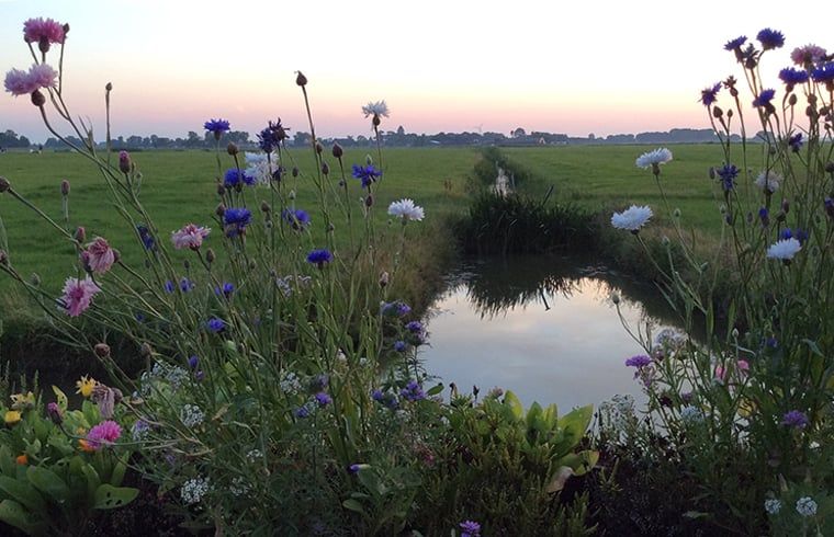 Verblijf 2620201 - Vakantiewoning Het Friese platteland - Vakantiehuisje in Jislum