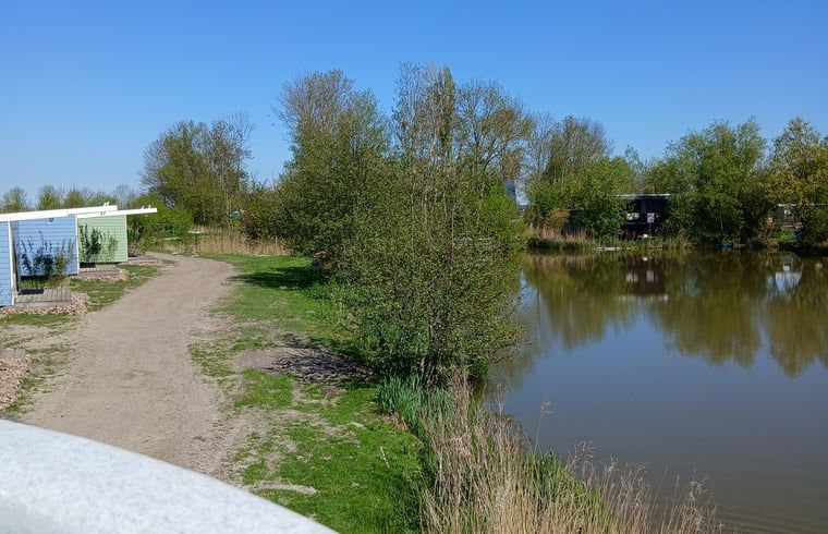 Picture 6