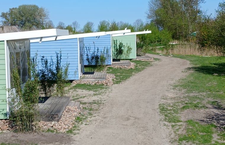 Picture 11