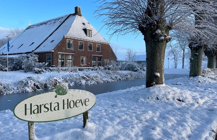 Ferienhaus in Hegebeintum in der friesischen Landschaft, attraktiver Aussenbereich mit Reetdach und bluehendem Garten.