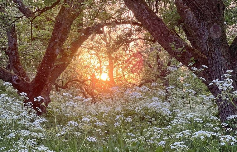 Schlafzimmer mit drei Betten in einem Ferienhaus in Hegebeintum, ideal fuer Gruppen in Friesland.