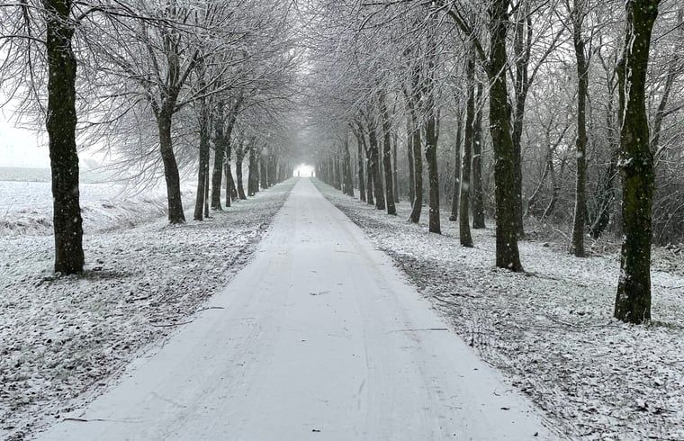 Atemberaubender Sonnenuntergang im Garten des Ferienhauses in Hegebeintum, umgeben von der Natur.