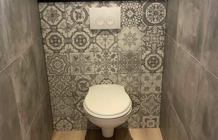 Stijlvolle badkamer in Vakantiehuisje in Bartlehiem met modern betegelde muren en toilet.