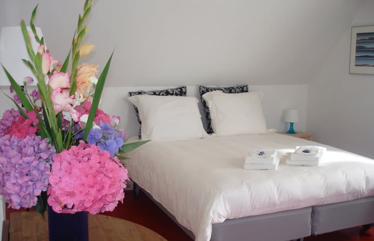 Guest house 2621301 - Holiday property Het Friese platteland - Vakantiehuisje in Gytsjerk