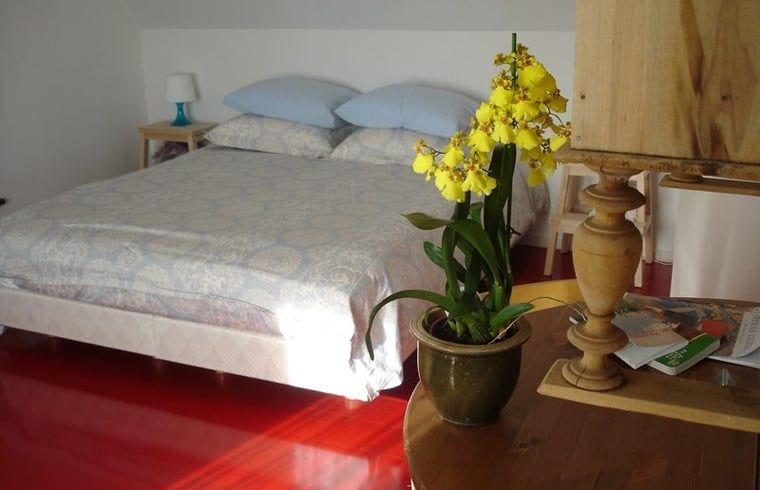 Guest house 2621301 - Holiday property Het Friese platteland - Vakantiehuisje in Gytsjerk