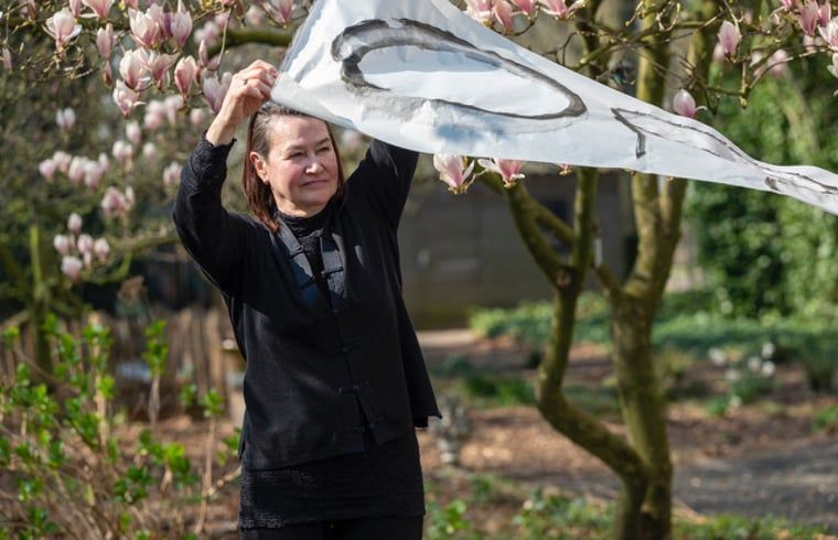 Guest house 2621301 - Holiday property Het Friese platteland - Vakantiehuisje in Gytsjerk