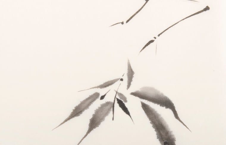 Guest house 2621301 - Holiday property Het Friese platteland - Vakantiehuisje in Gytsjerk