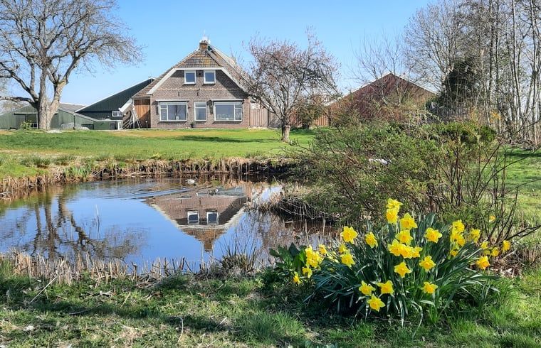 Ferienhaus in Oldelamer, Friesland, umgeben von Natur mit Teich und Blumen, ideal fuer einen entspannten Aufenthalt auf dem friesischen Land.