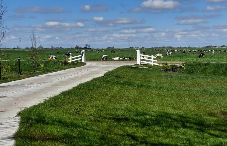 Geniessen Sie die weitlaeufige friesische Landschaft im Huisje in Oldelamer, einem Ferienhaus in Oldelamer mit herrlichem Blick auf gruene Wiesen.