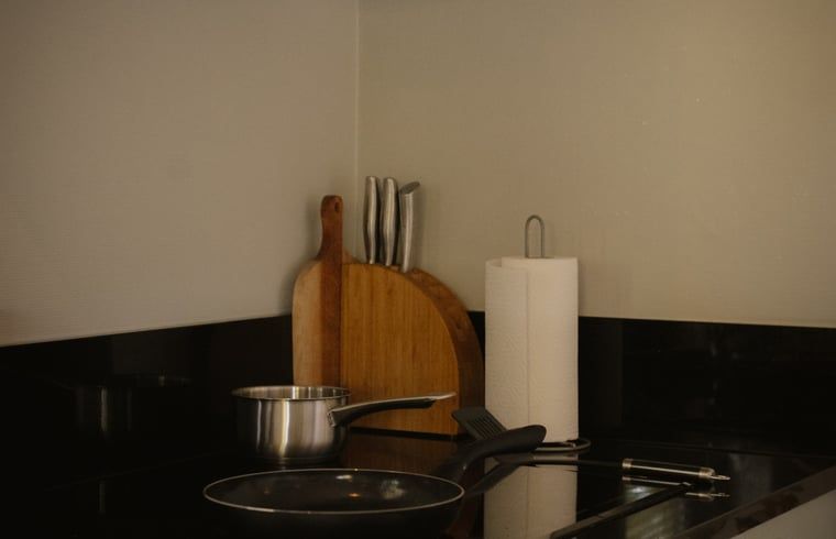 Verblijf 2622002 - Vakantiewoning Het Friese platteland - Vakantiehuisje in Tytsjerk