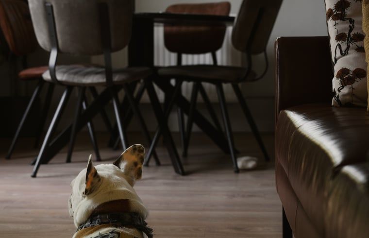 Verblijf 2622002 - Vakantiewoning Het Friese platteland - Vakantiehuisje in Tytsjerk