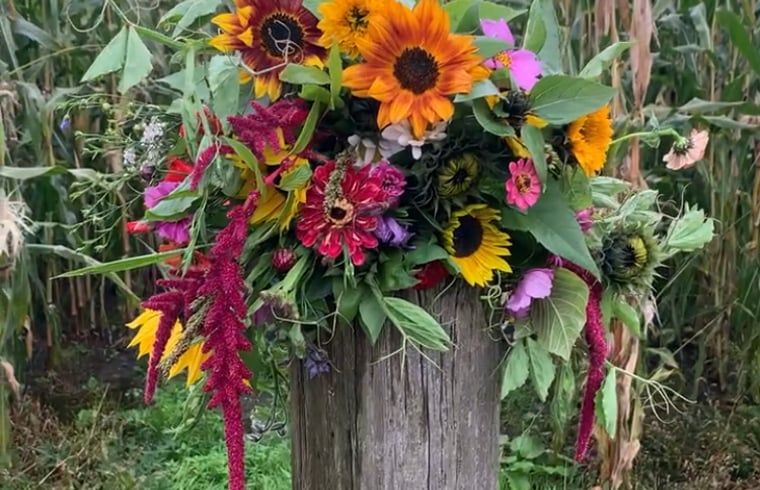 Unterkunft 262405 - Ferienhaus Het Friese platteland - Huisje in Augustinusga