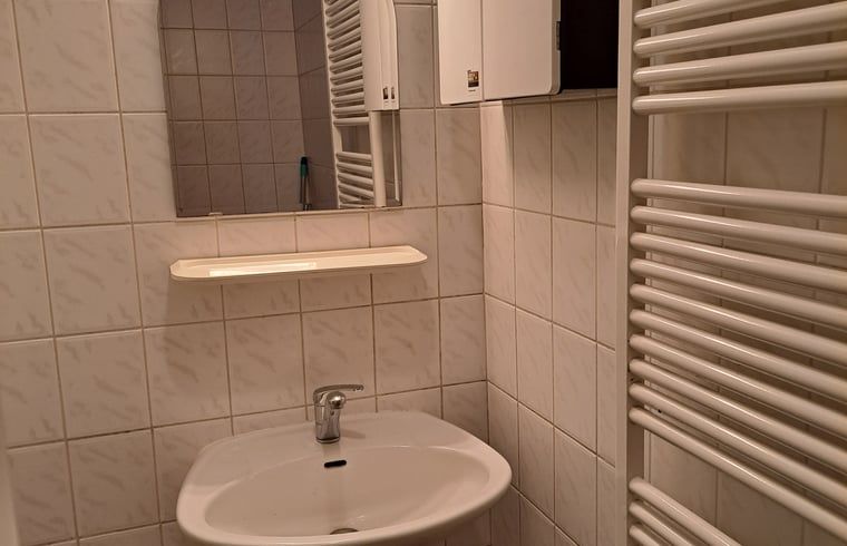 Moderne badkamer met wastafel in Huisje in Wommels, vakantiehuis in Friesland.