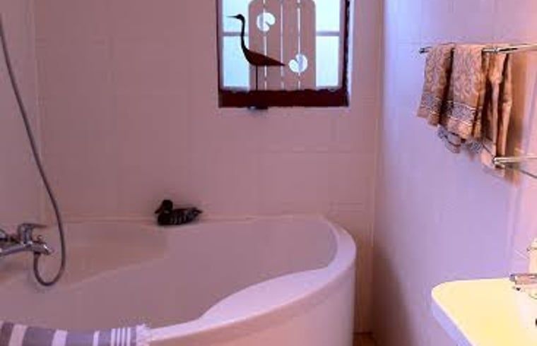 Moderne badkamer in Huisje in Twijzelerheide, vakantiehuis in Friesland met bad en sfeervol raam.