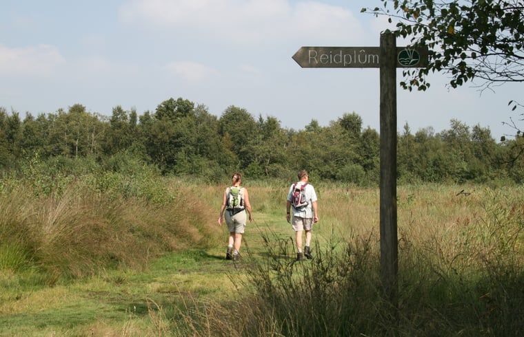 Wandelaars in de omgeving van Huisje in Twijzelerheide, gelegen op het Friese platteland van Friesland.