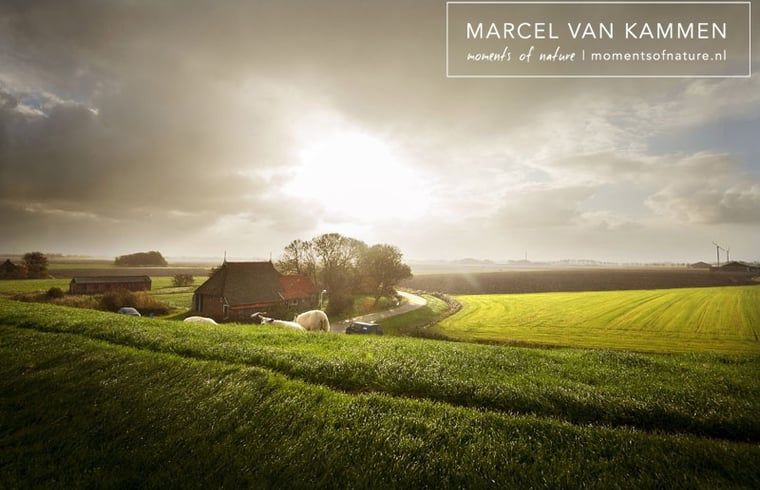 Pittoresk landschap rondom Huisje in Twijzelerheide, vakantieaccommodatie in Friesland met weids uitzicht.