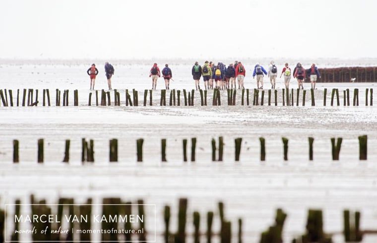 Groep wandelaars in de buurt van Huisje in Twijzelerheide, vakantiehuis op het Friese platteland.