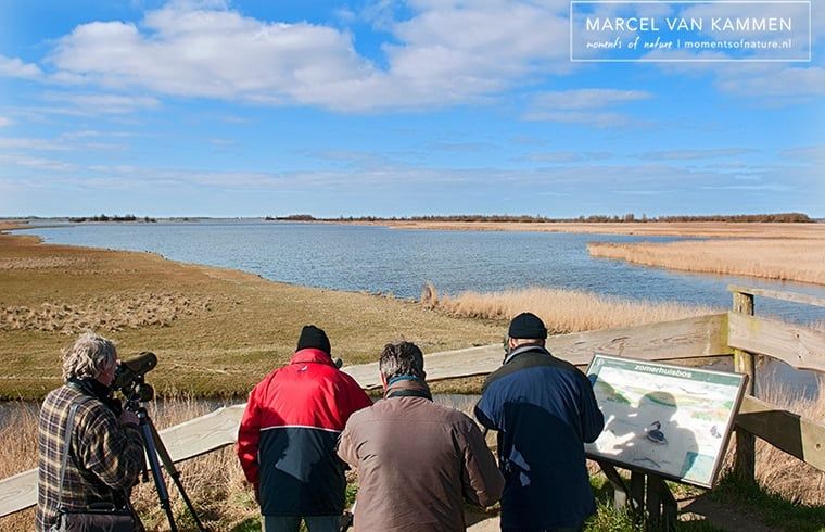Vogelaars spotten vogels nabij Huisje in Twijzelerheide, vakantieaccommodatie in Friesland aan het water.