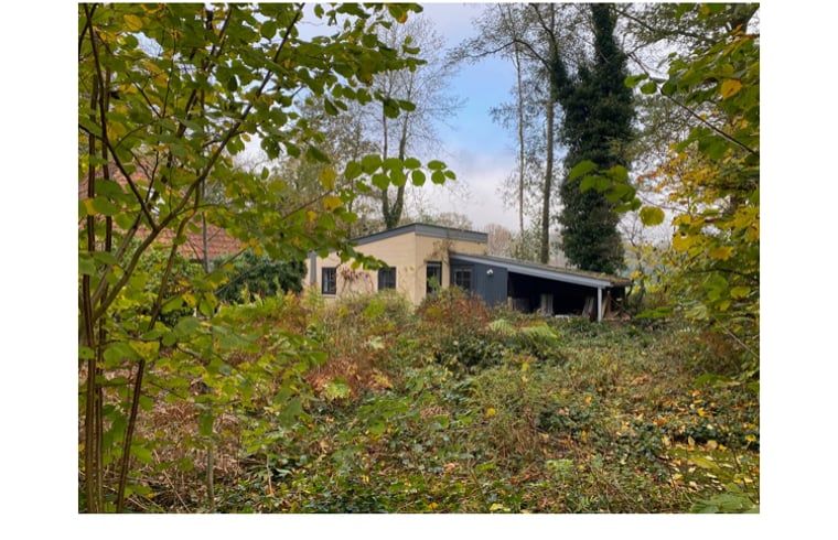 Ferienhaus in Nijeholtpade, umgeben von ueppiger Natur in der friesischen Landschaft, ideal fuer einen ruhigen Urlaub in Friesland.
