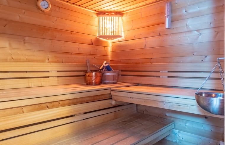 Geniessen Sie die entspannende Sauna im Ferienhaus in Boksum auf dem friesischen Land, ideal fuer einen erholsamen Urlaub.