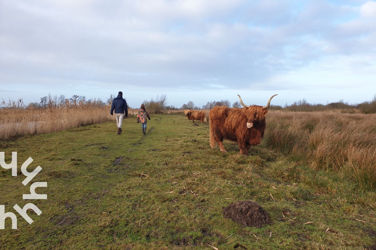Unterkunft 266903 - Ferienhaus Het Friese platteland - FR115