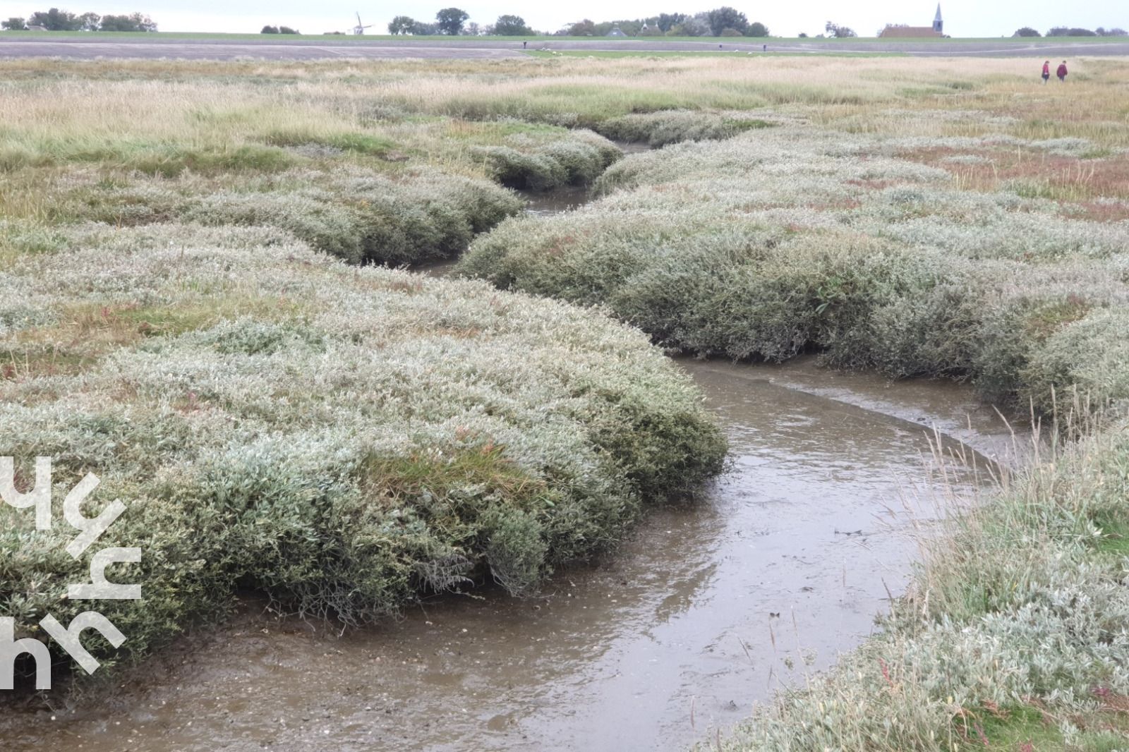 Unterkunft 266903 - Ferienhaus Het Friese platteland - FR115