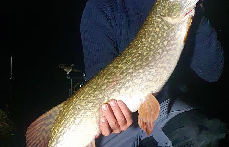 Big fish caught at cottage in Jannum near Dokkum, ideal for fishing enthusiasts in Friesland.