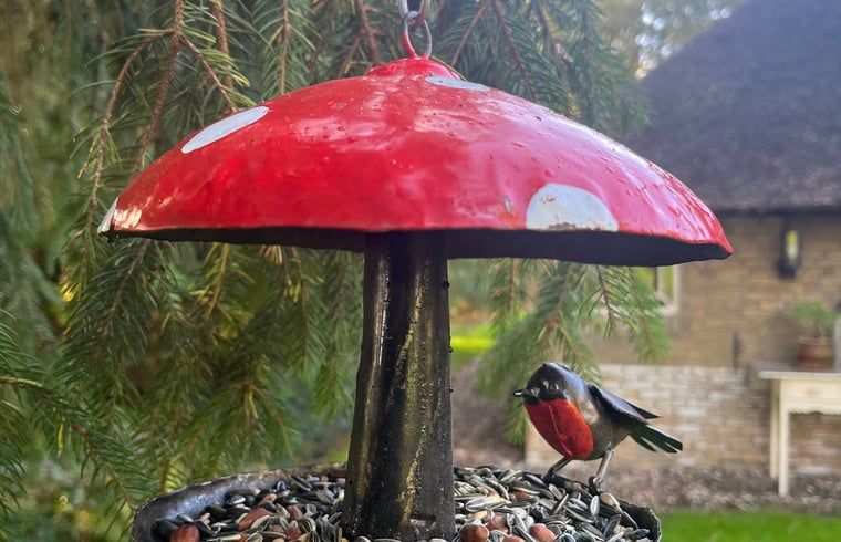 Guest house 268205 - Holiday property Het Friese platteland - Huisje in Zandhuizen