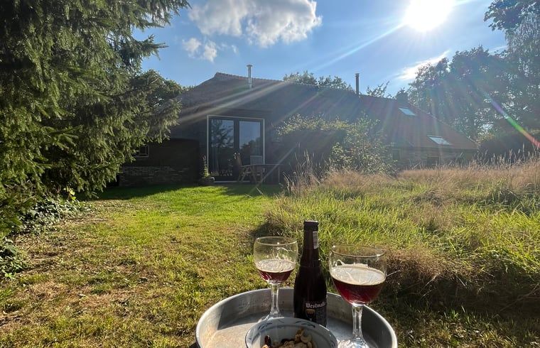 Guest house 268205 - Holiday property Het Friese platteland - Huisje in Zandhuizen