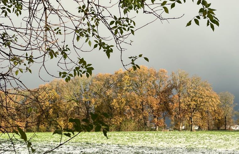 Guest house 268205 - Holiday property Het Friese platteland - Huisje in Zandhuizen