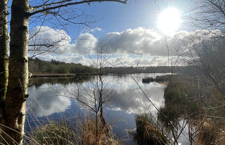 Guest house 268205 - Holiday property Het Friese platteland - Huisje in Zandhuizen