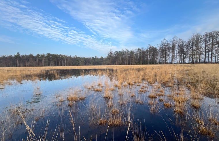 Guest house 268205 - Holiday property Het Friese platteland - Huisje in Zandhuizen